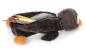 Preview: NICI 48346 - Mäppchen Pinguin Noshy