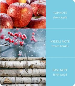 Preview: Heart & Home 20425 - Diffuser "Winter Berry Frost", 70 ml