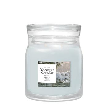 Yankee Candle Duftkerze Snow Kissed Pine - 2247891